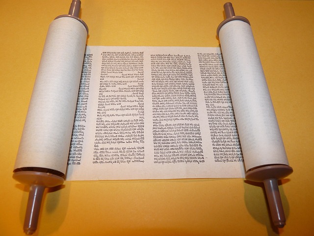Bible 3524065